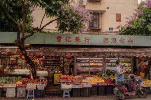 开发者专访麻豆网（联动企划）萌新不迷路