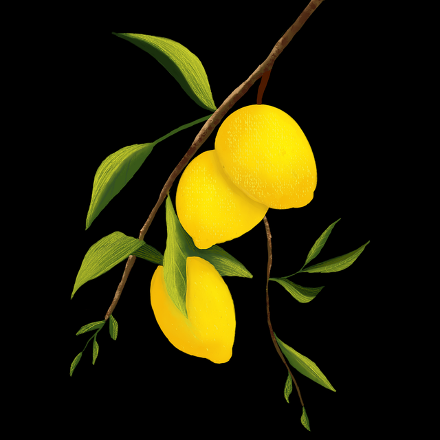91网明日预测：王牌节目王者对决